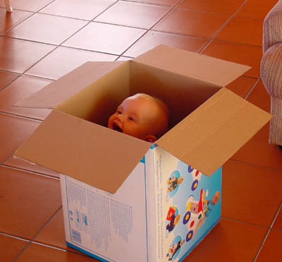Peek-a-boo in a box