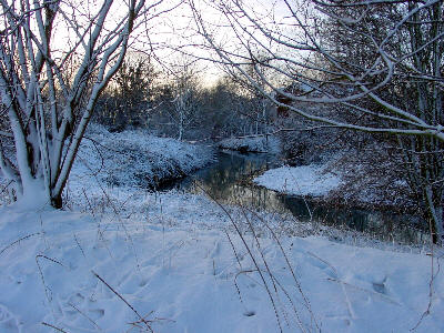 How it looked the next morning along the river behind our property...