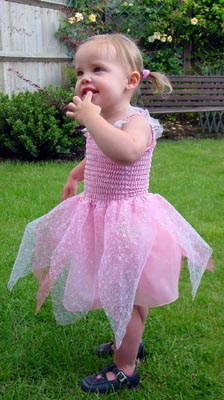 Fairy princess Misha