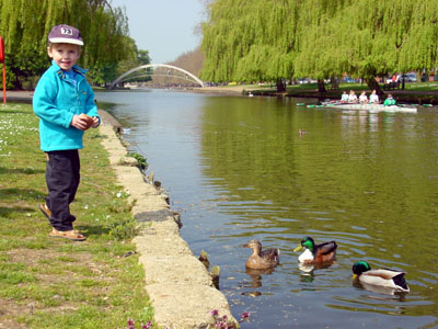 Joshua feeding the ducks at the river