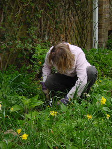 Mandy tackling the flower beds