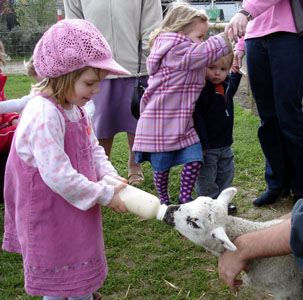 It wouldn't be spring without feeding the lambs at a nearby farm