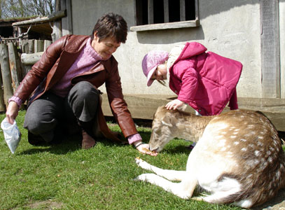 Misha and Merryl feed one of the deer