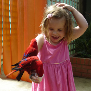 Birds flock to Misha as she feeds them nectar at Woburn park