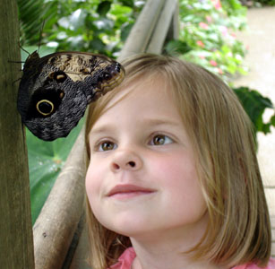 Up close and personal at Butterfly World - Misha's favourite birthday retreat