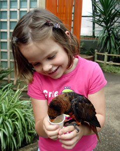 Misha feeding nectar to the birds at Woburn Park