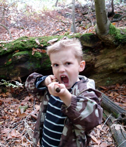 Halt! Who gos there?