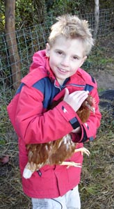 Joshua just loves those chickens!