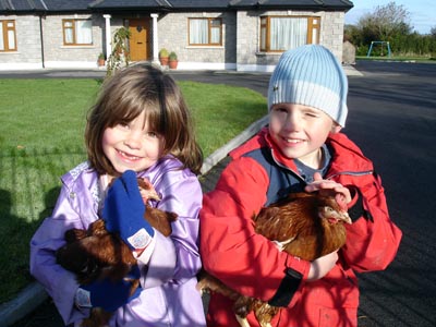 The chickens don't mind a cuddle now and then...