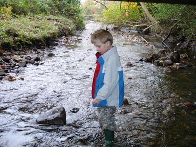Wading in a stream... what could be more fun?