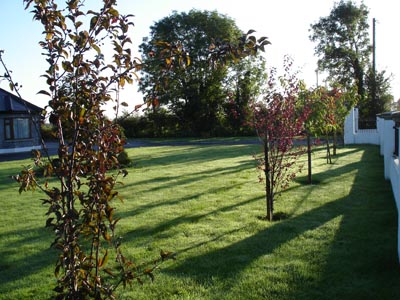 The front garden