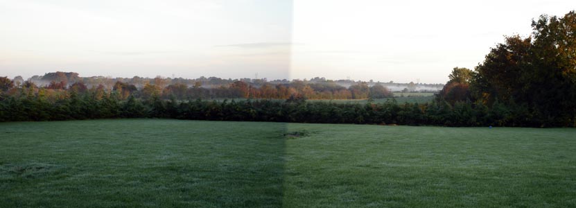 Our view out over the back garden on a misty morning (composite photo as you can see)