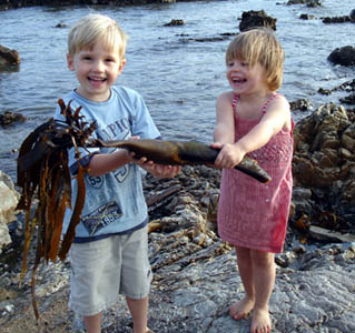 Joshua & Misha delighted with a piece of kelp they found