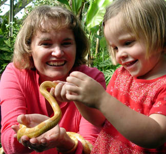 Misha handles a snake at Butterfly world near Stellenbosch