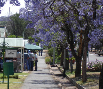 Some shops at the diamond mine in Cullinan