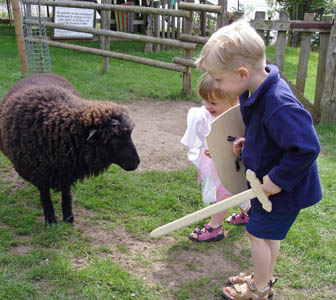 A curious sheep comes to inspect these two would-be Vikings