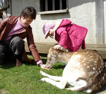 Misha and Merryl feed one of the deer