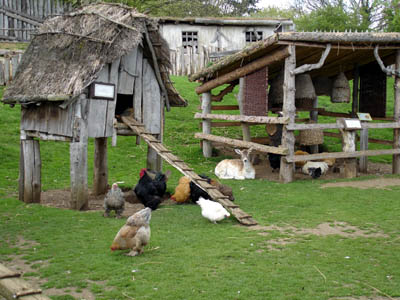 A chicken coop in the village
