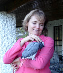 Pete (Tim's African Grey) enjoys a head scratch