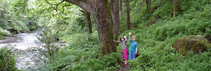 Joshua & Misha surrounded by the lush vegetation of Wicklow