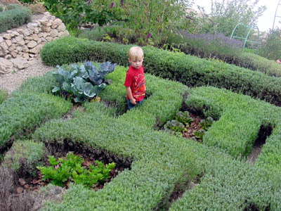 Joshua contemplates the maze in the garden in the fort at St. Agnes