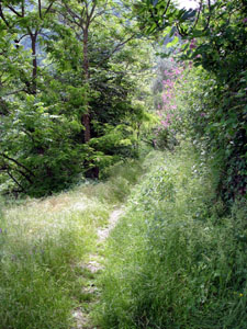 We followed a path that led out of the top of Castelvittorio