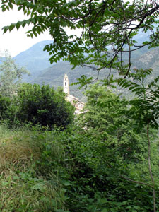 A peek through the trees back into the village