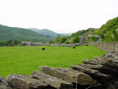 Scenic fields surrounded by rock walls - a typical view in the lake district