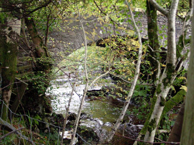 A pretty bridge near the castle