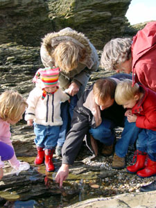 the kids spotted a crab in a rock pool
