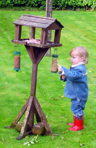 Misha inspecting the bird feeder