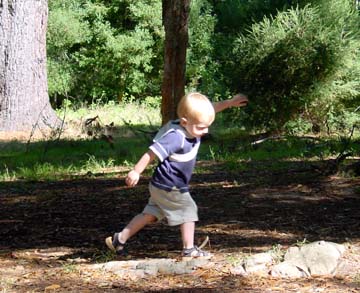 Joshua playing in Tokai forest