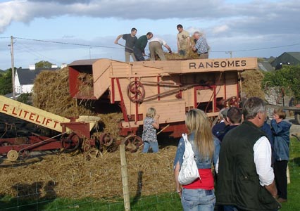 A threshing festival in the village - where wheat is threshed the old fashioned way with help from all the neighbours