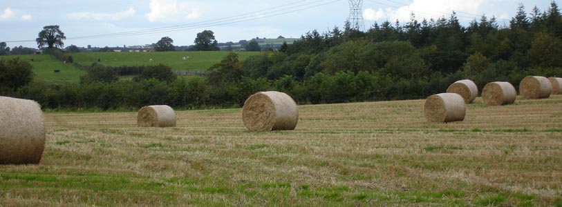 Hay bales in the field of a neighbouring farm