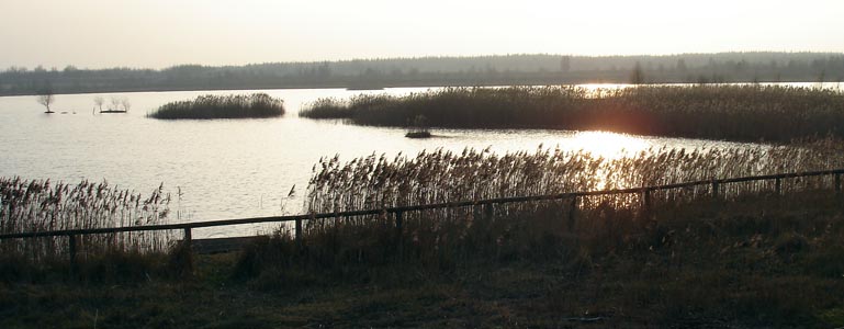 Sunset at Lough Boora