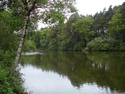 Brittas Lake, Clonaslee