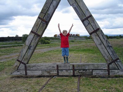 Sculptures in the bogland at Lough Boora