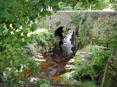 The Silver River at Cadamstown (another nearby town)