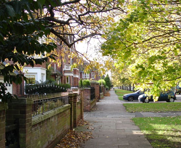 Autumn colours appear as the cold sets in